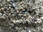 Traction Sand - Image 3